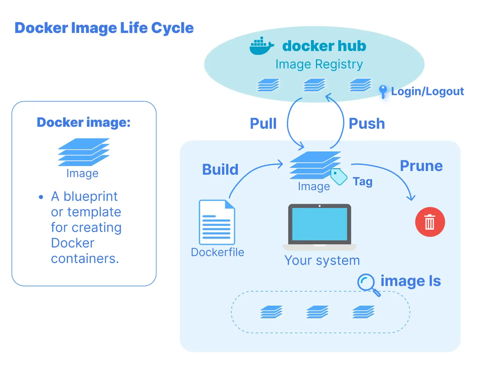 A diagram illustrating the Docker image life cycle, showing how a Dockerfile is used to build an image, which can then be tagged, pushed to Docker Hub, pulled back down, or pruned from your system. The cycle demonstrates the relationship between local development, image registry storage, and container deployment.